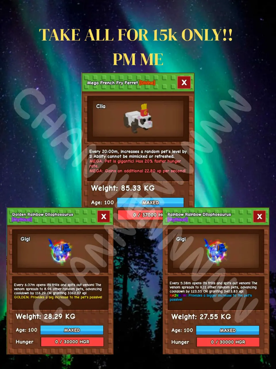 1000020879.webp