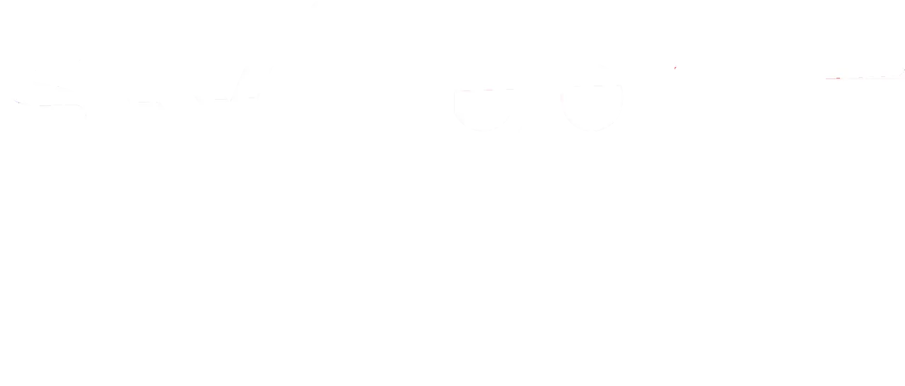 skysf.webp