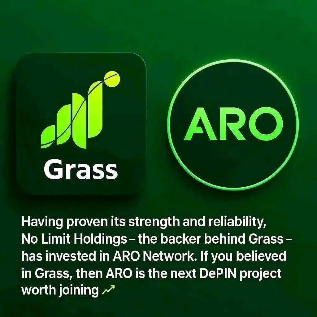aro 1.webp