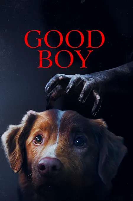450x676CA.TVA23C01.webp