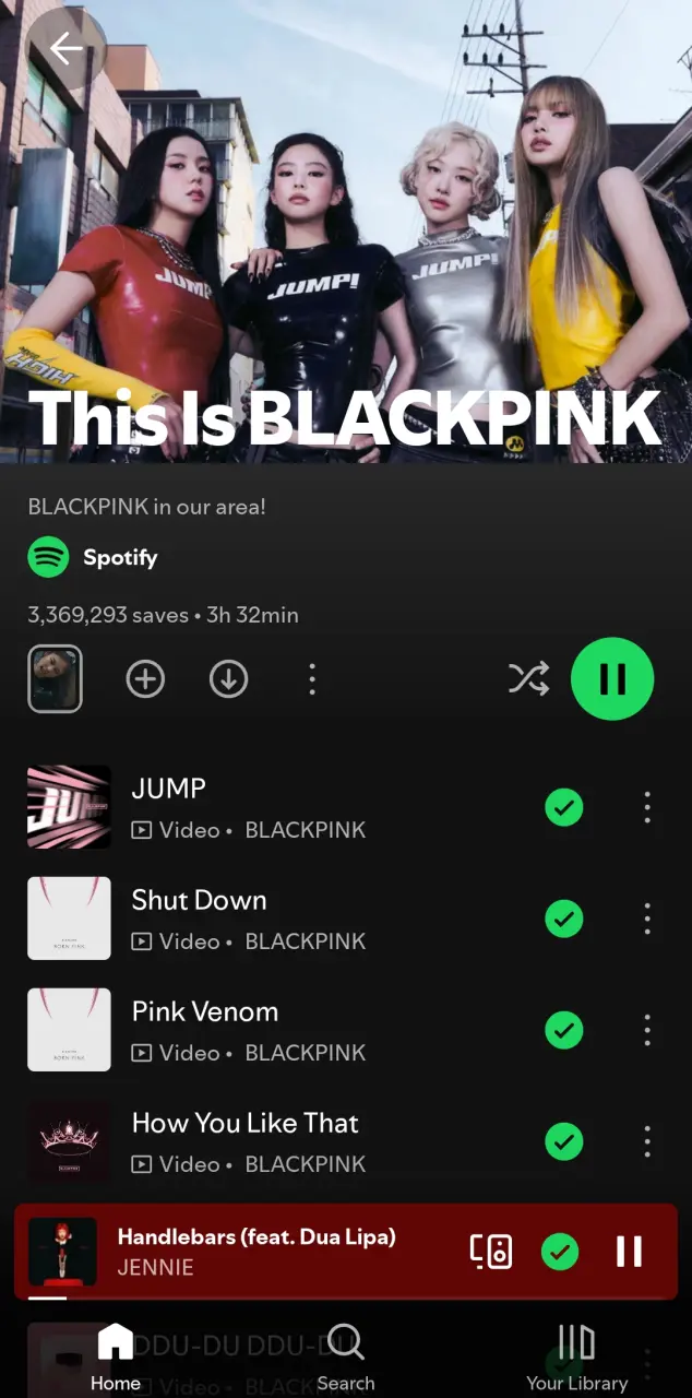 This Is BLACKPINK