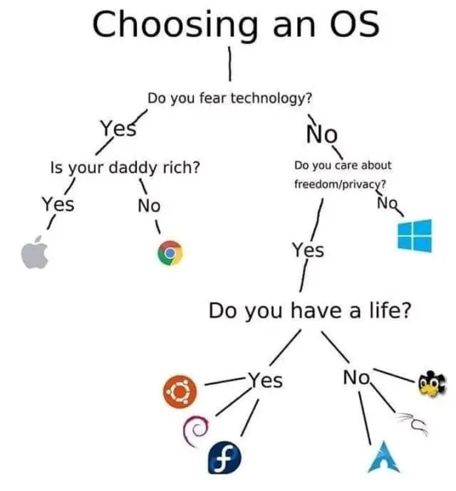 Choosing An OS.webp