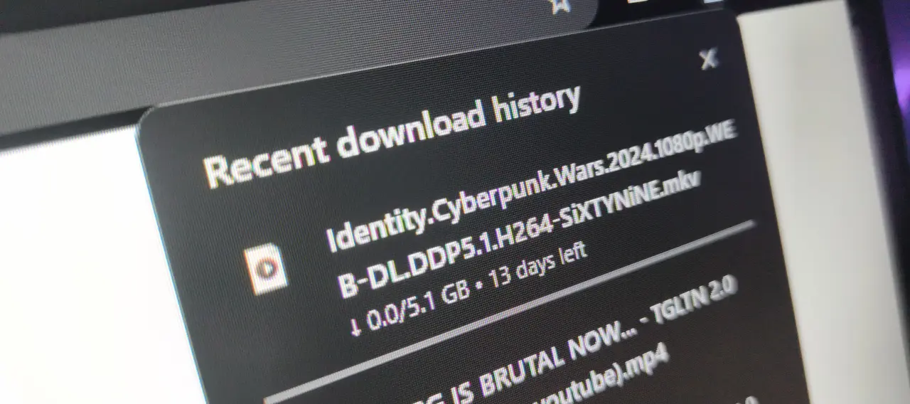 17604474425930.7858937301499825.webp