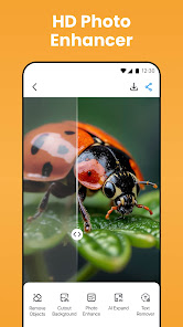 _tC_eNQXOu181OEyWGlhFK8uxblxhWmyhbEPXjFSxvG9jJm1YByAnyPNfQGKH8Bwmiw=w526-h296.jpeg