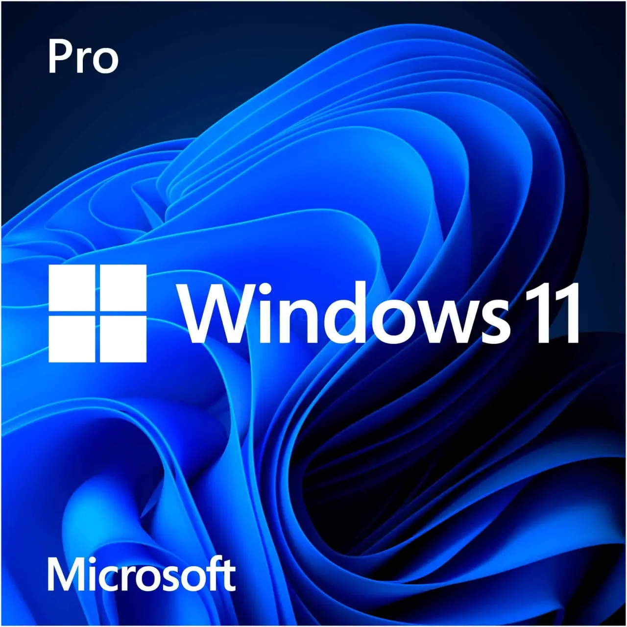 Microsoft-Windows-11-pro-2676408739.webp