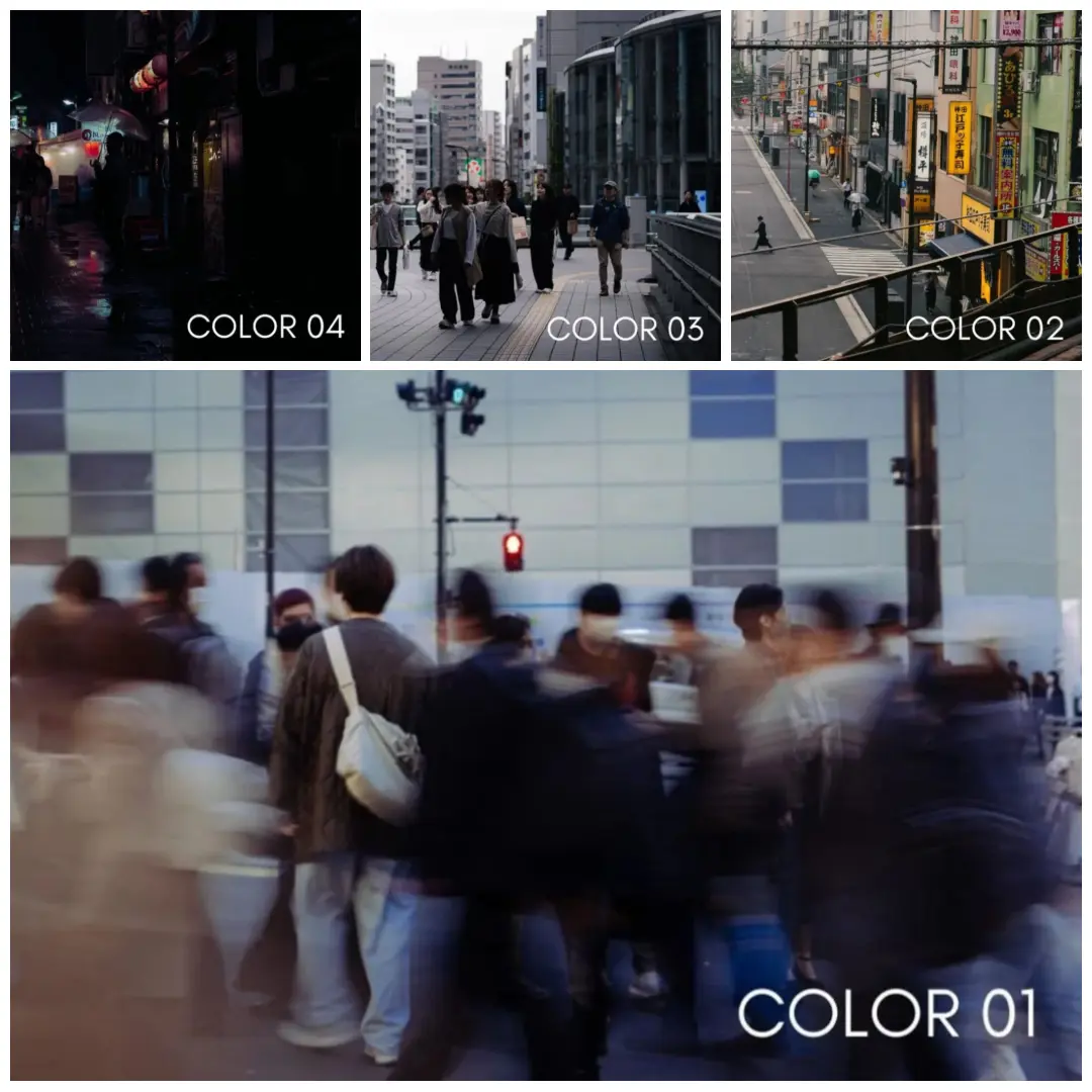 Analog 2024 (Lightroom).webp