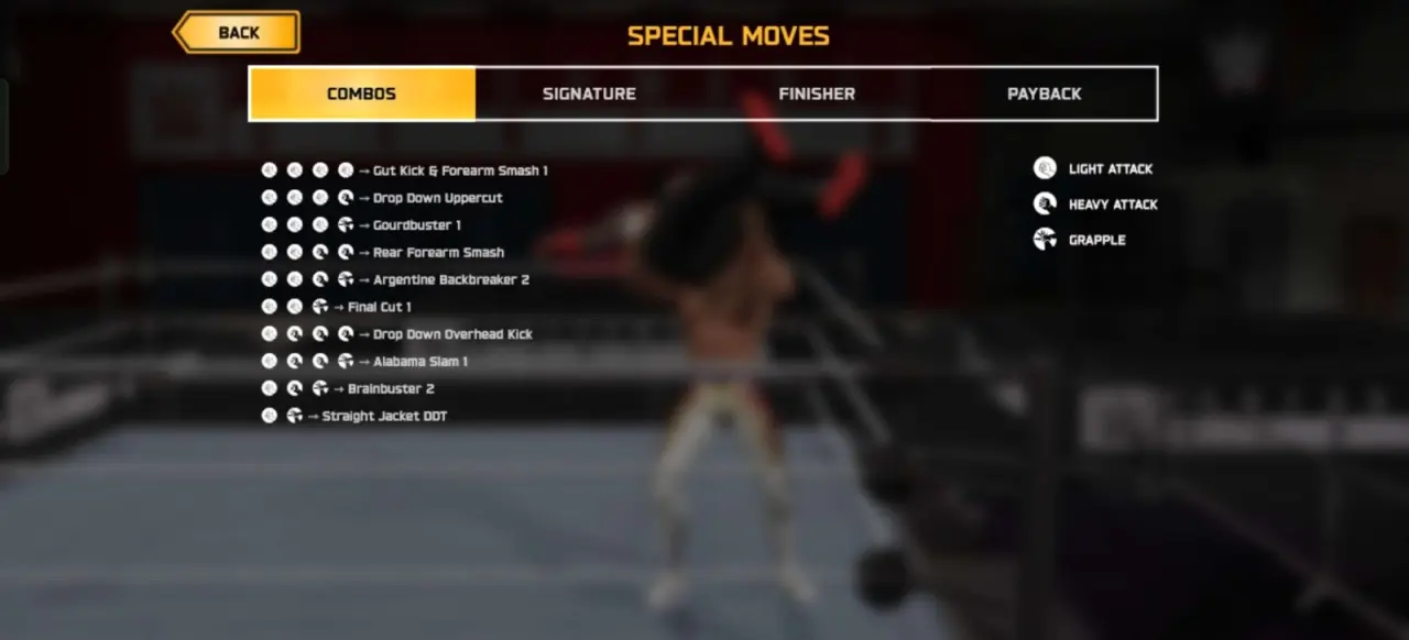 WWE 3.webp