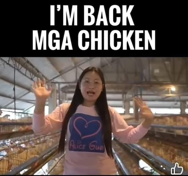 r/Philippines - I'M BACK MGA CHICKEN ALICE GUD