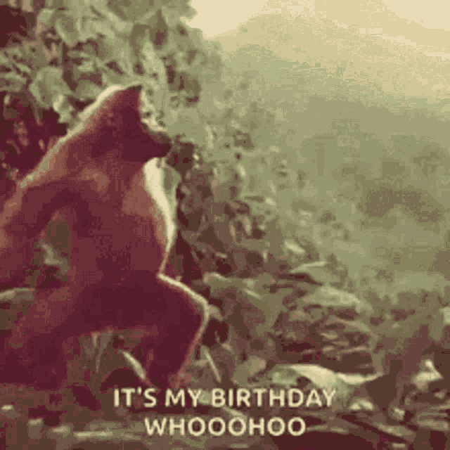 happybirthday.gif