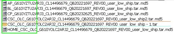 flash04.webp