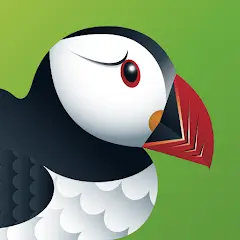 1764553719437.webp