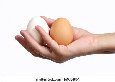 1764904019928.webp