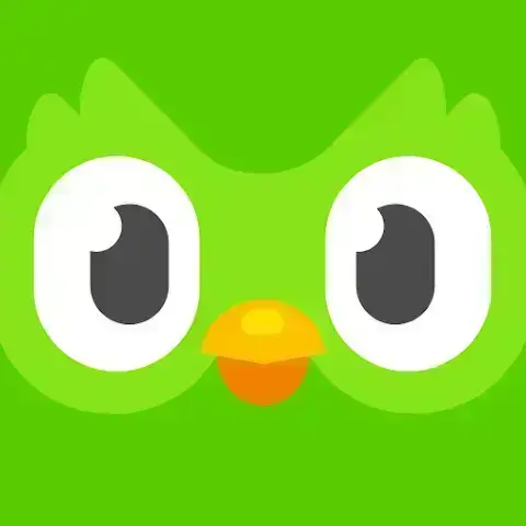 1765187621810.webp