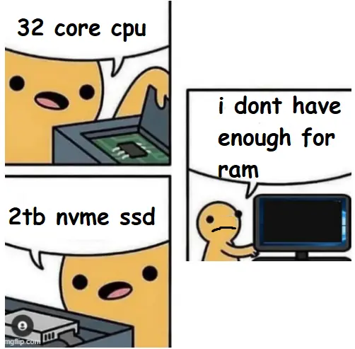 The Expensive RAM.webp