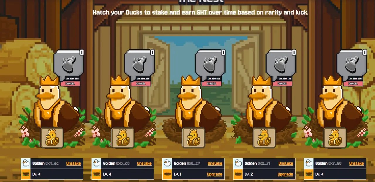 duck-1.webp