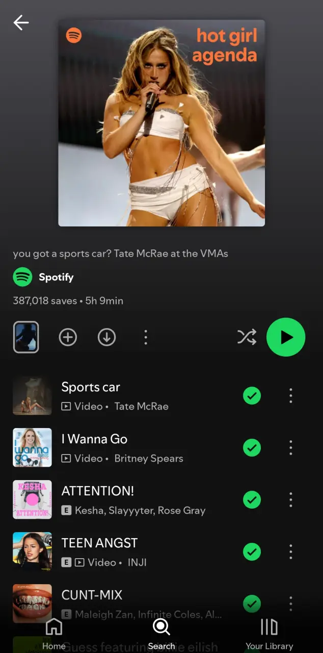 Spotify Playlist: Hot Girl Agenda (Pop / Party Vibes)