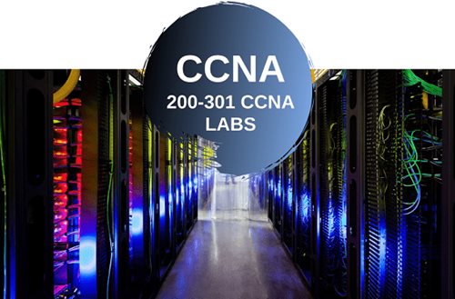 d440ae60de3d7572125fbba1c2954fcb.jpg