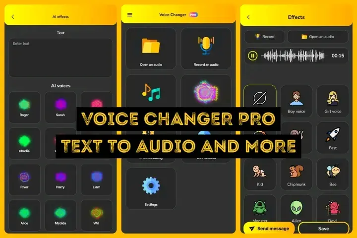 Voice Changer Pro.webp