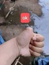 okay.webp