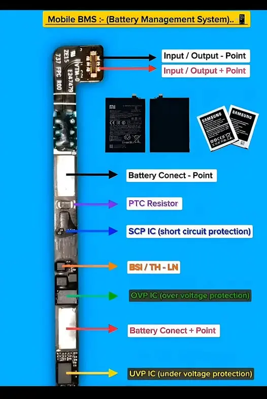 1768468986652.webp