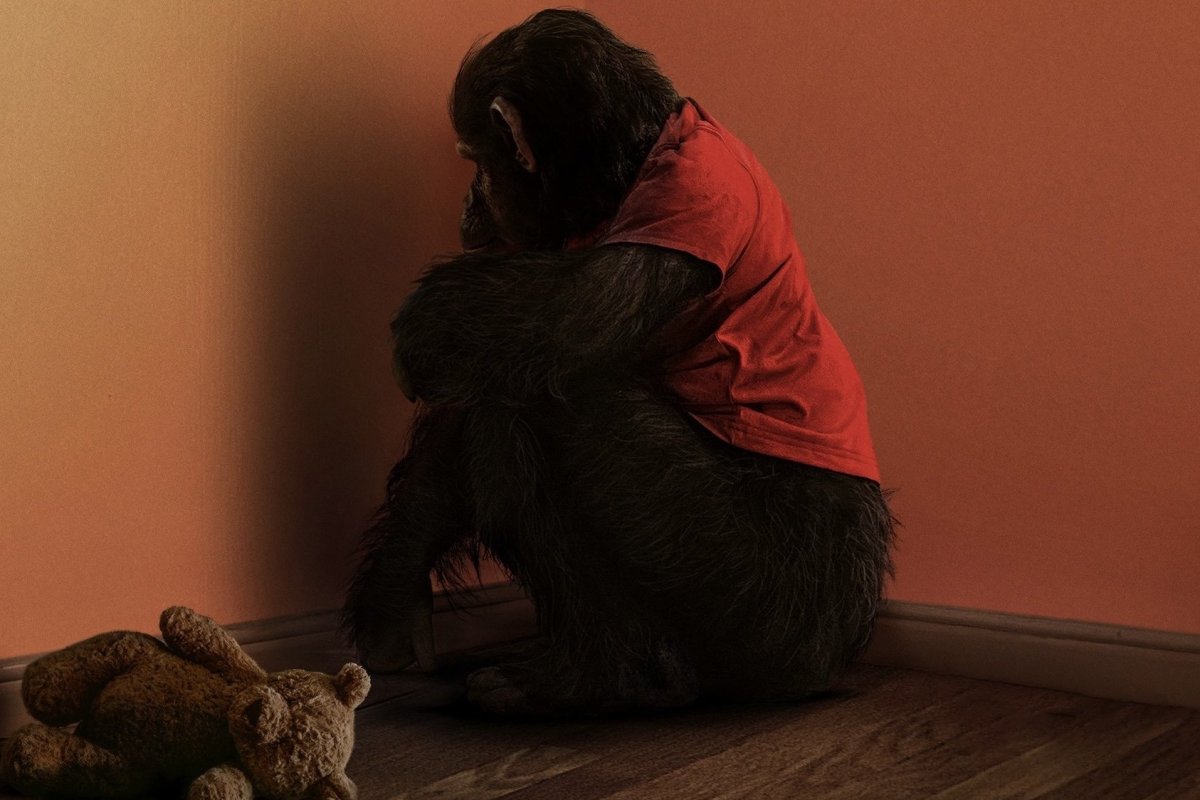 Primate-Horizontal-2.jpeg