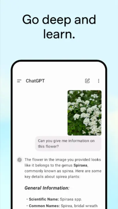 Screenshot 2026-01-23 151017.webp