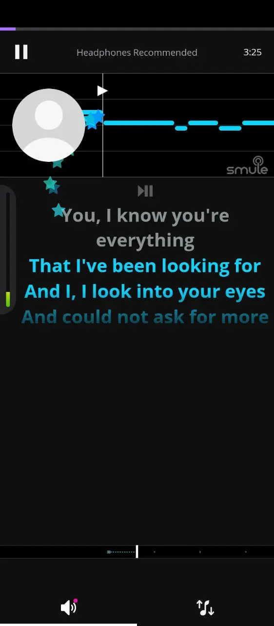 Smule (2).webp