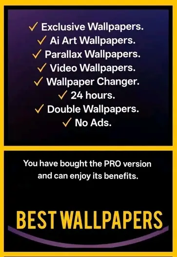 1769345643953_2.webp