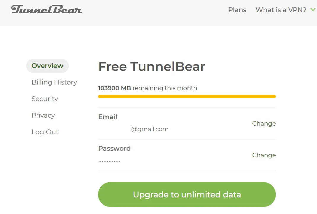 tunnelbear.webp