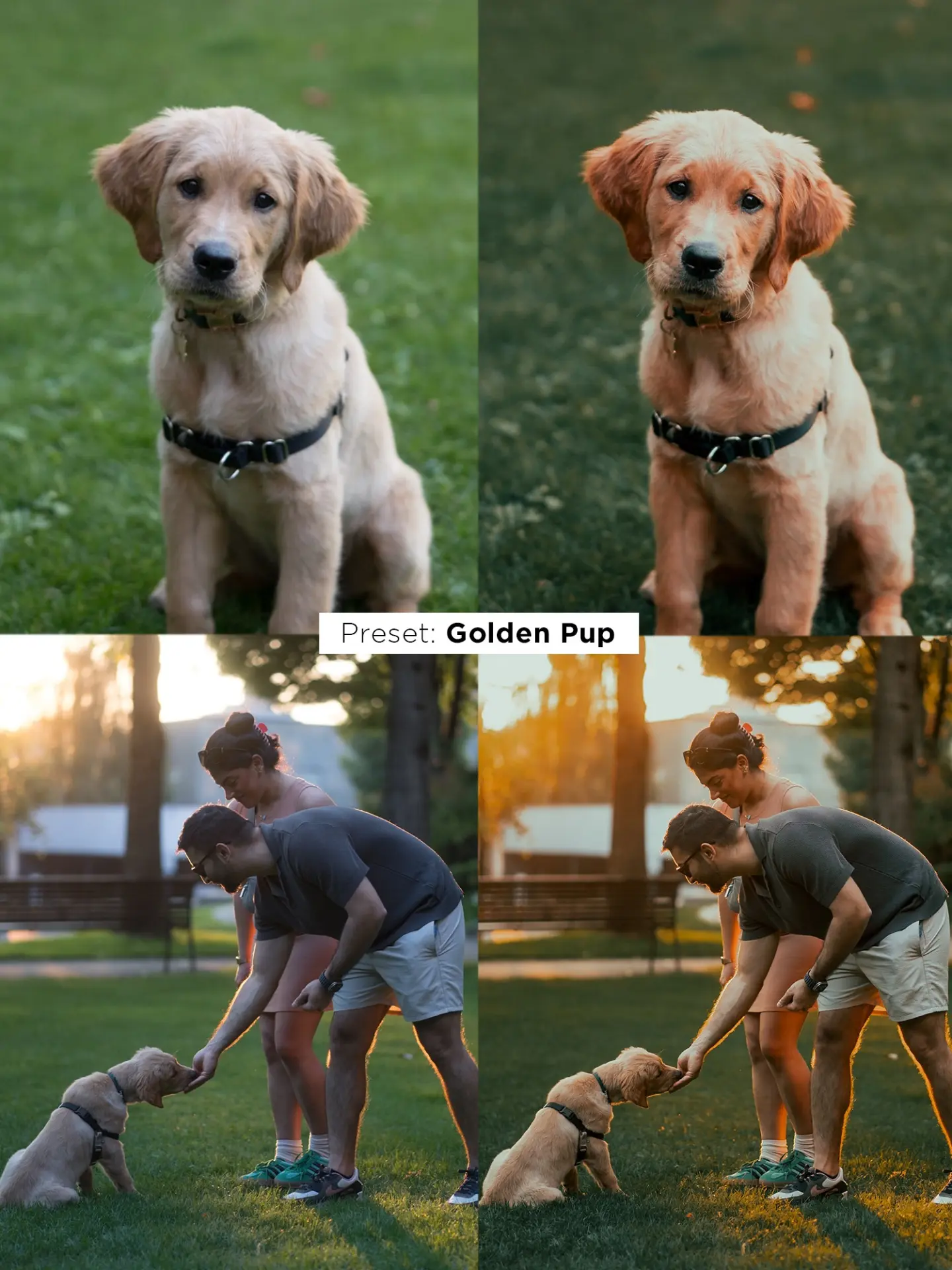 Justin Veenema (2).webp