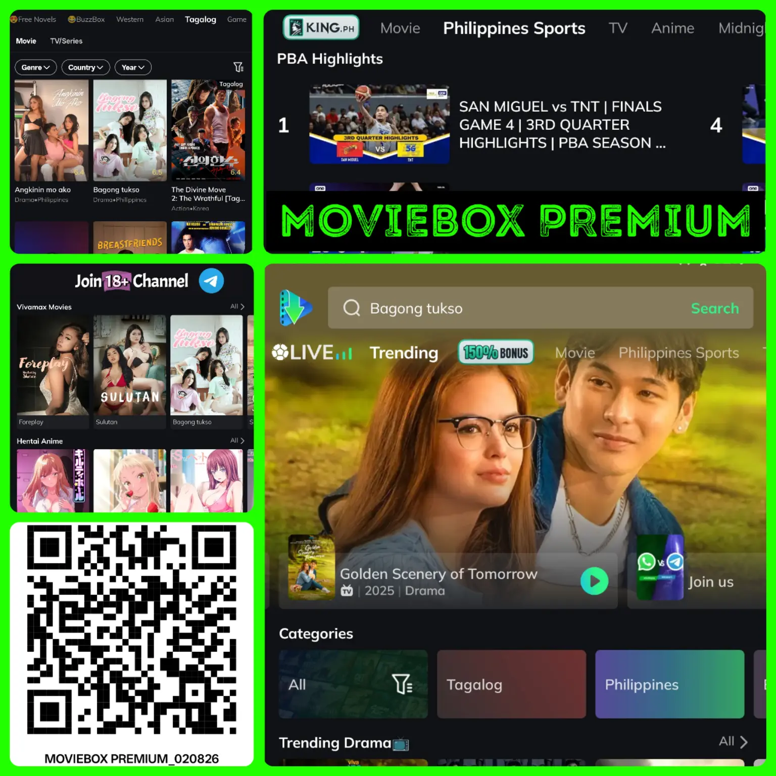 41401.webp
