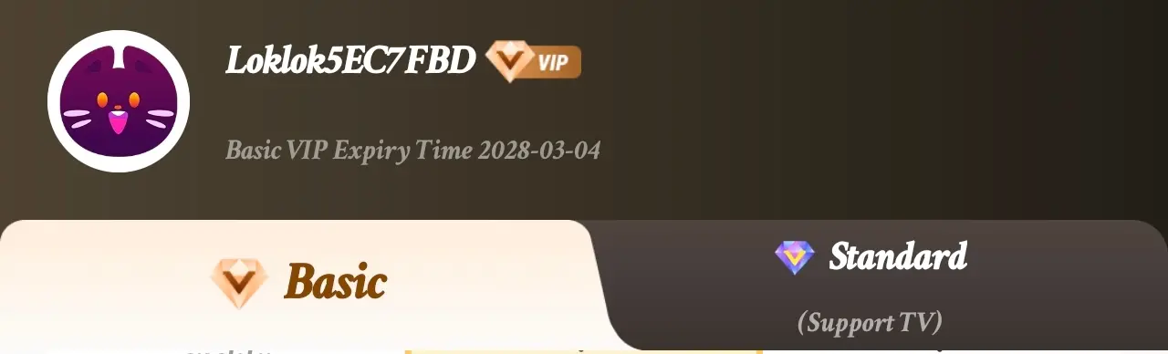 21410.webp