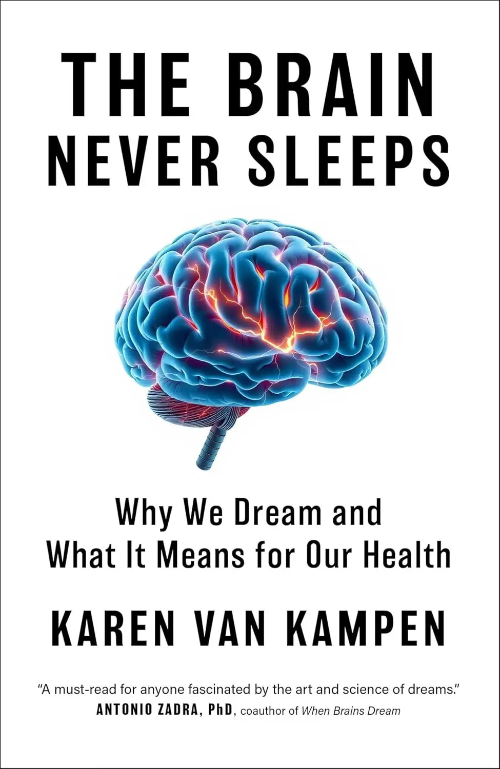 The Brain Never Sleeps.webp
