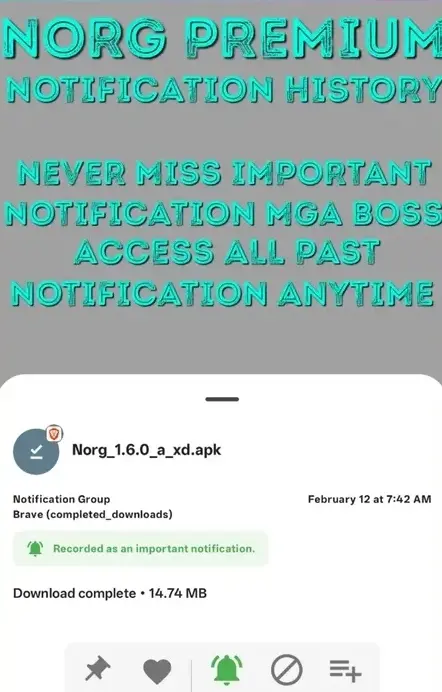 1770886078301_2.webp