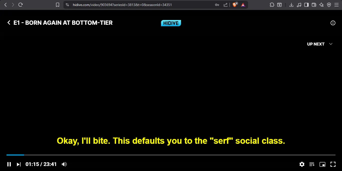 ss4.webp