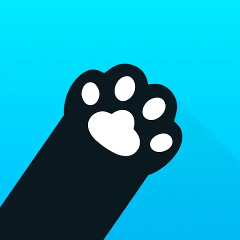 1771486326775.webp