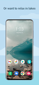 y181mv.jpg