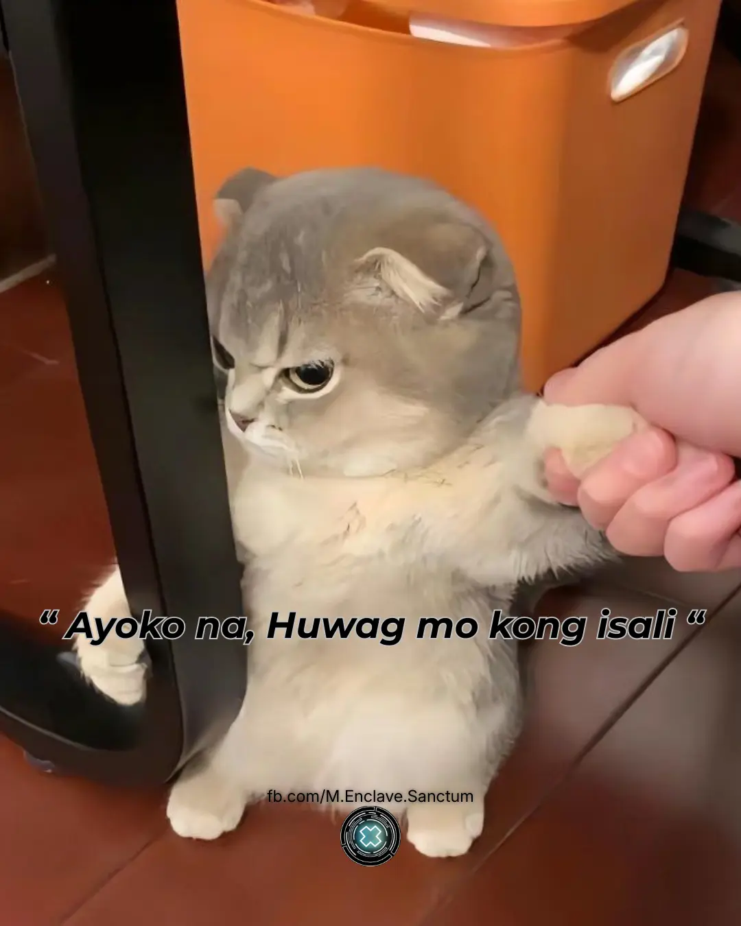 ayoko na huwag mo kong isali.webp