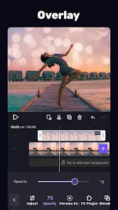 2lud0y.webp