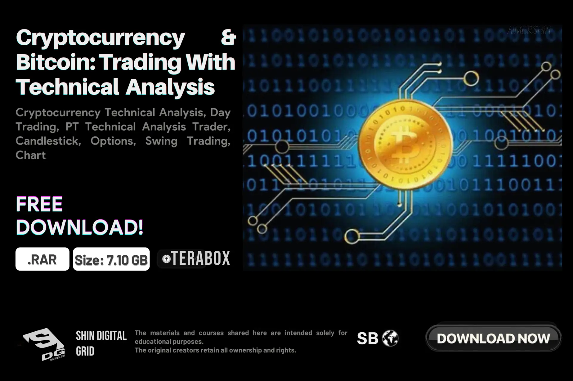 Cryptocurrency & Bitcoin.webp