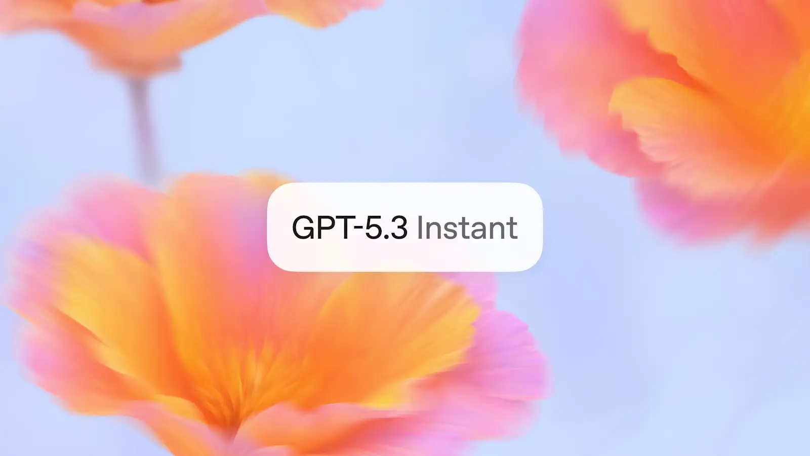 5.3_Instant_Hero___SEO__1_.webp
