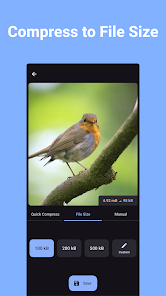 z992xl.webp