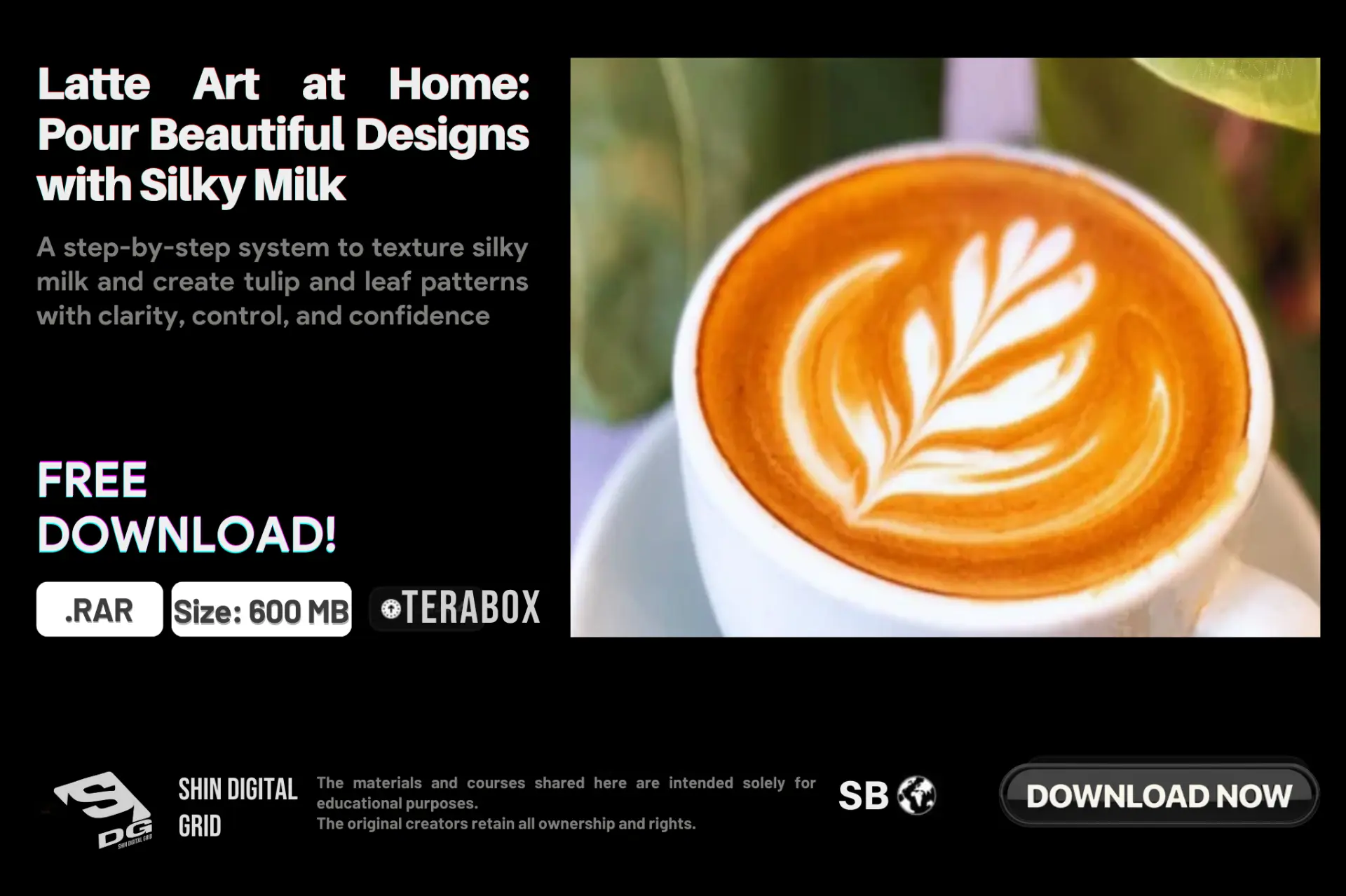 Latte Art at Home.webp