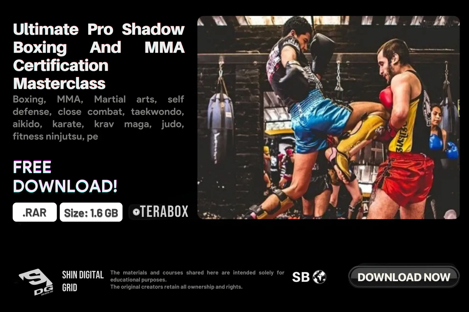 Ultimate Pro Shadow Boxing.webp