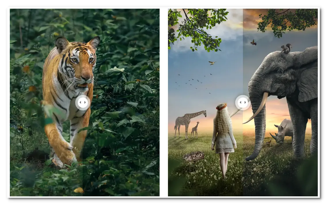 Zenz Lightroom Presets (1).webp