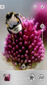 guioq3.webp