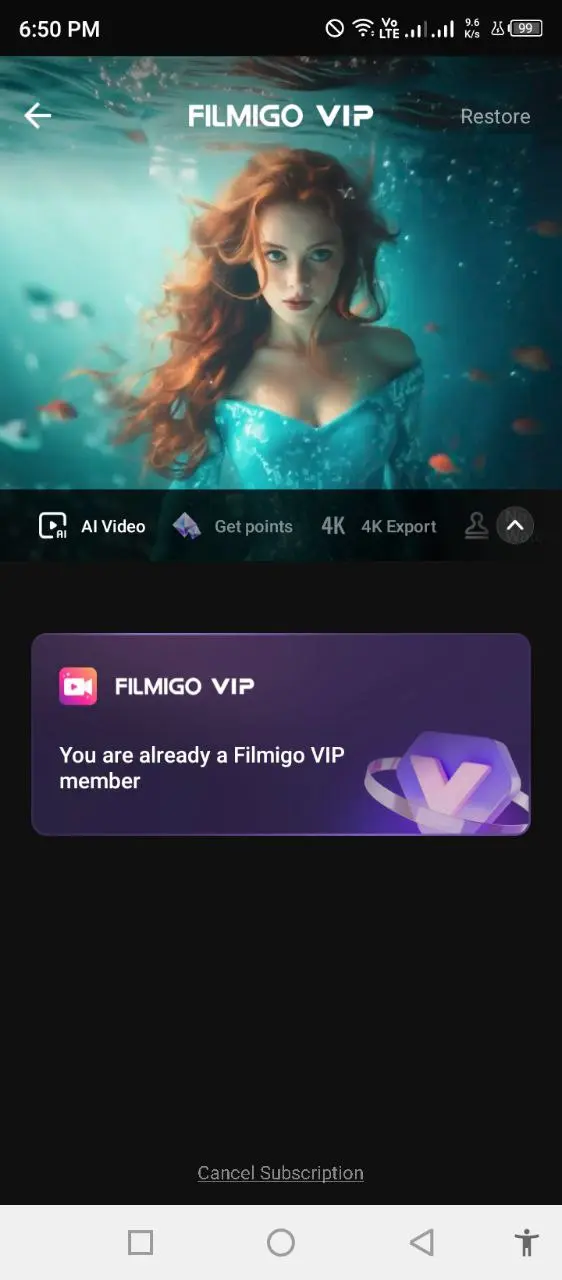 Filmigo (2).webp