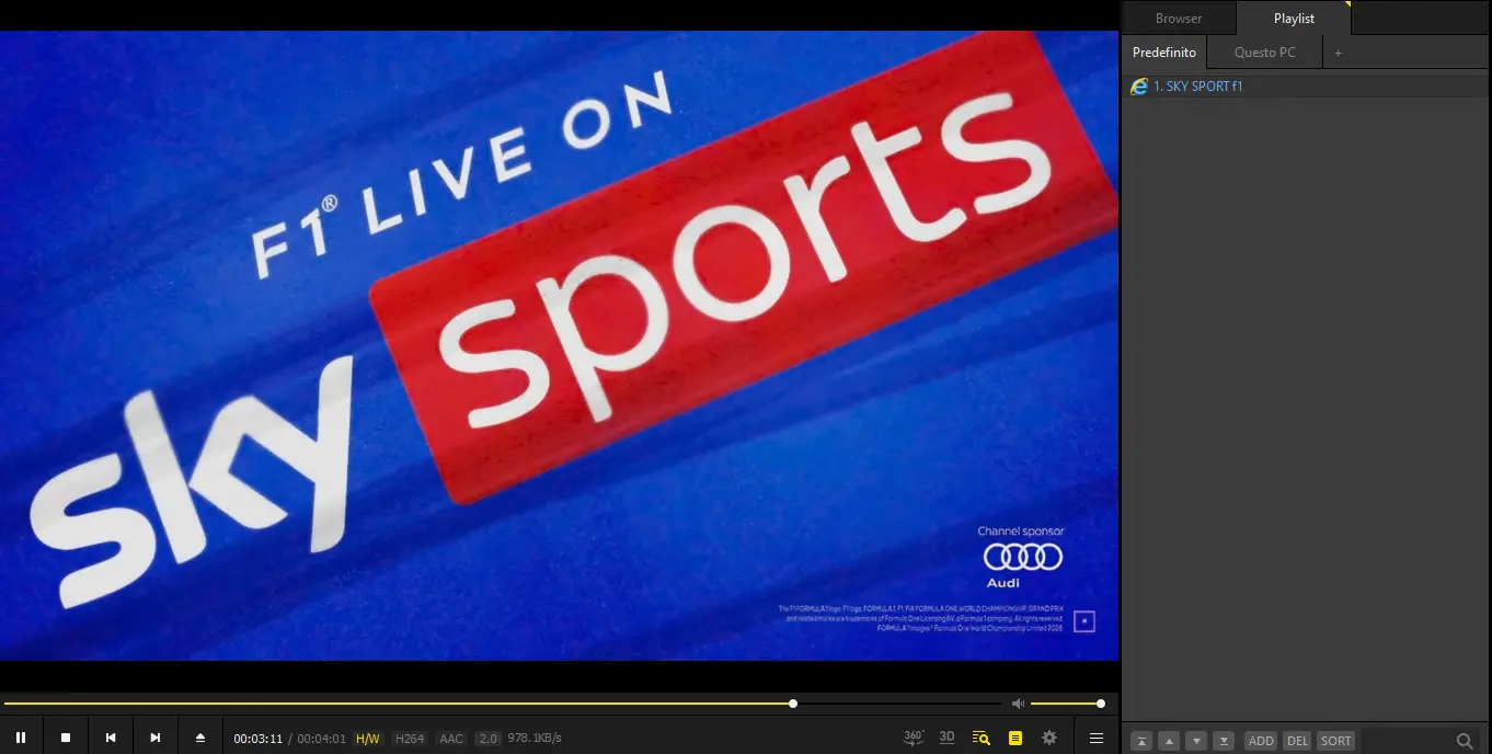 SS1.webp