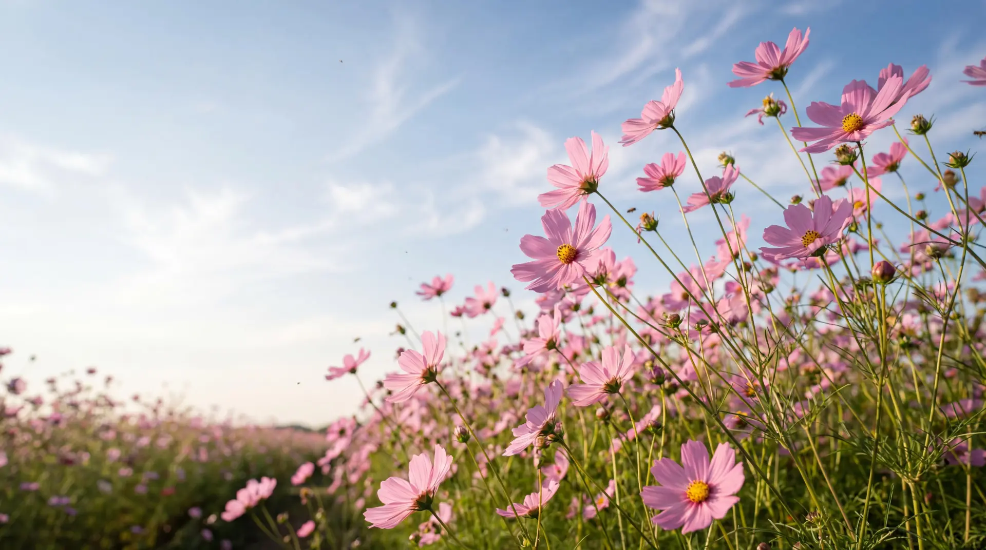 image - 2026-03-19T181952.830.webp