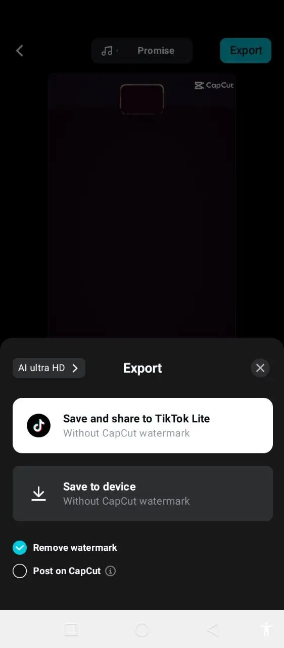 Capcut (4).webp